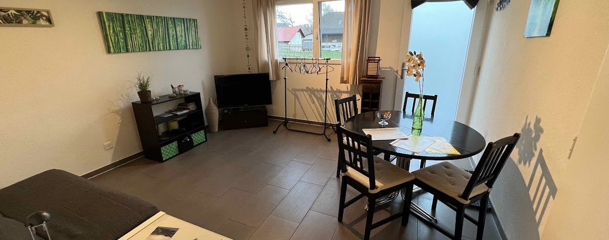 Séjour avec télé (+ Chromecast & PS4) et canapé-lit